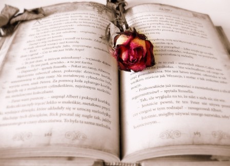 Send I Love You - Books